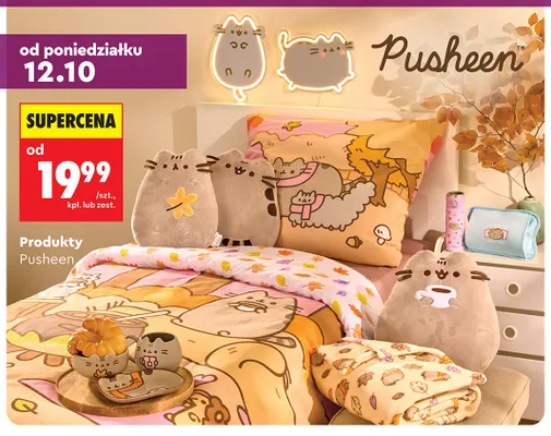 Produkty Pusheen promocja w Biedronka