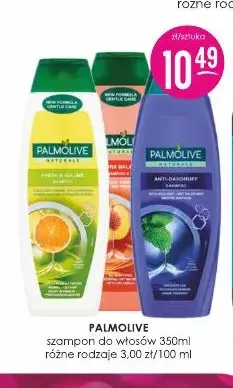 Szampon do włosów Palmolive promocja w Drogerie Jasmin