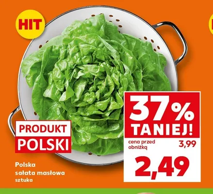 Sałata masłowa polska promocja w Kaufland