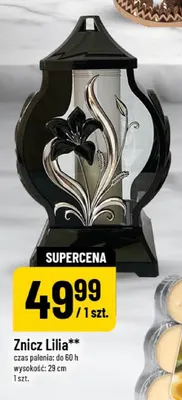 Znicz Lilia promocja w POLOmarket