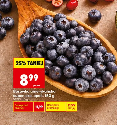 Borówki amerykańskie super size promocja w Biedronka