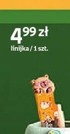 Linijka Paperdot Cappy Classes promocja w Empik