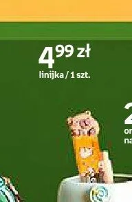 Linijka Cappy Classes promocja w Empik