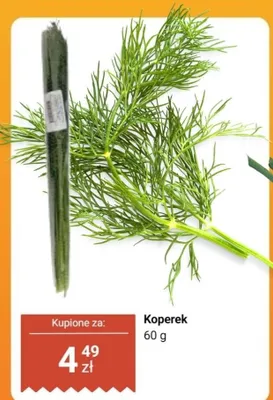 Koperek promocja w Dino