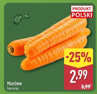 Marchew promocja w Aldi