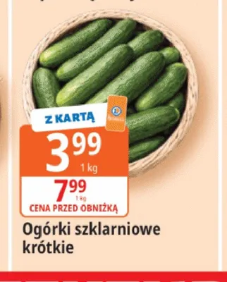 Ogórki szklarniowe krótkie promocja w Leclerc