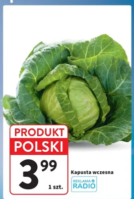 Kapusta wczesna polska promocja w Intermarche