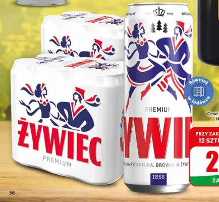 Piwo Żywiec Premium promocja w Dino