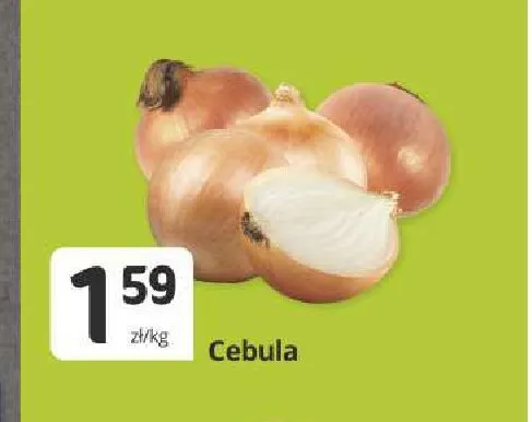 Cebula promocja w Marketvita