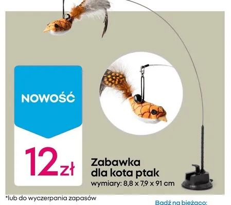Zabawka dla kota ptak promocja w Pepco
