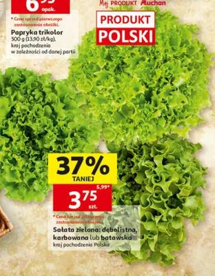 Sałata zielona karbowana polska Mój Produkt Auchan promocja w Auchan
