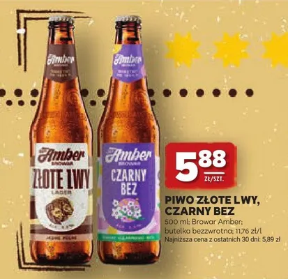 Piwo Amber Złote Lwy promocja w Stokrotka