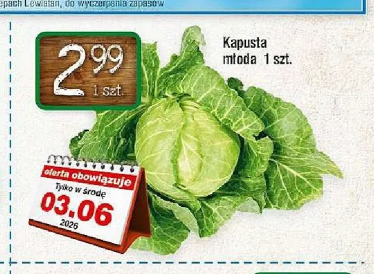 Kapusta młoda promocja w LEWIATAN