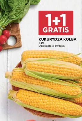 Kukurydza kolba promocja w Stokrotka