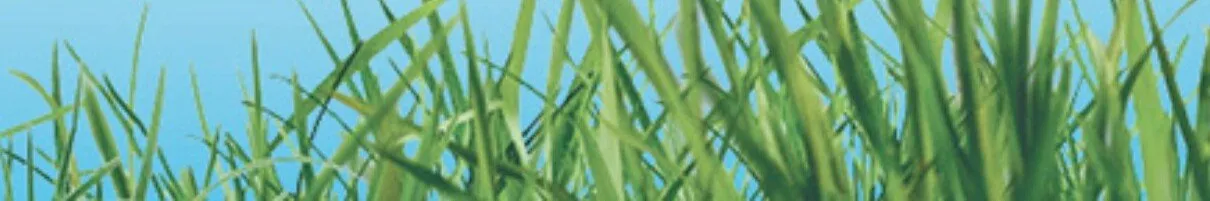 Gazetka 30 Lat Hipermarket Auchan, strona 10 promocja w Auchan