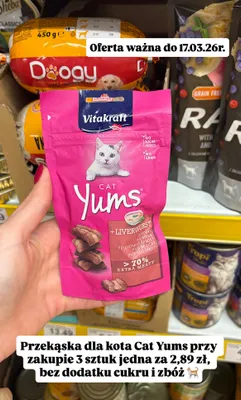 Przekąska dla kota Cat Yums promocja w Dino