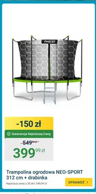 Trampolina ogrodowa NEO-SPORT 312 cm z drabinką promocja w ERLI