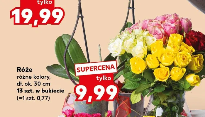 Róże dł. ok. 30 cm promocja w Kaufland