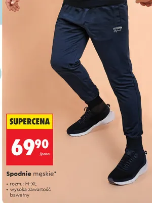 Spodnie męskie promocja w Biedronka