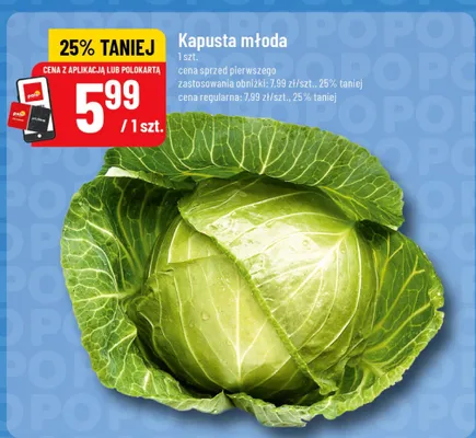 Kapusta młoda promocja w POLOmarket