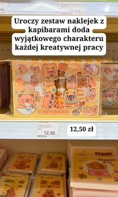 Zestaw naklejek Capybara promocja w MR. DIY