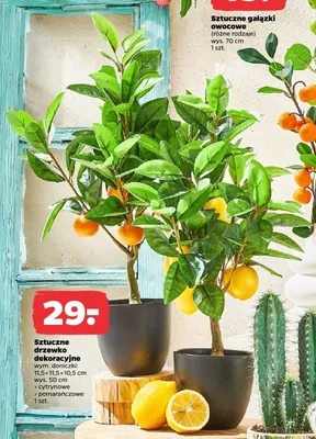 Sztuczne drzewko dekoracyjne cytrynowe promocja w Netto