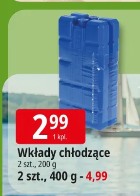 Wkłady chłodzące 2szt. 200g promocja w Leclerc