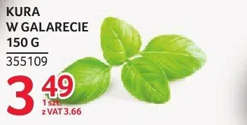 Kura w galarecje promocja w Selgros