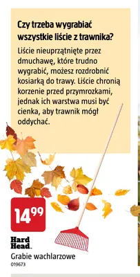 Grabie wachlarzowe Hard Head promocja w Jula
