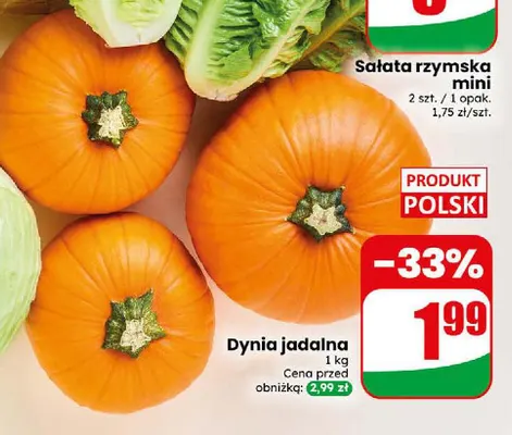 Dynia jadalna promocja w Dino