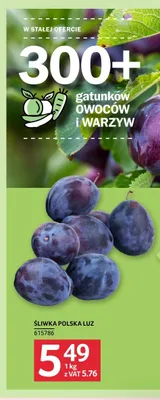 Śliwka polska luz promocja w Selgros