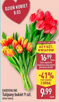 Tulipany bukiet 9 szt. różne kolory promocja w Aldi