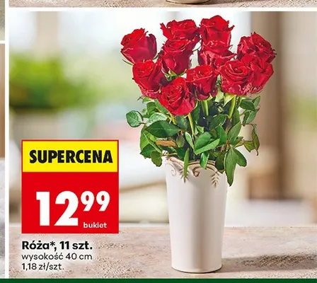 Róża 11-pak promocja w Biedronka