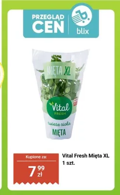 Mięta Vital Fresh XL promocja w Biedronka