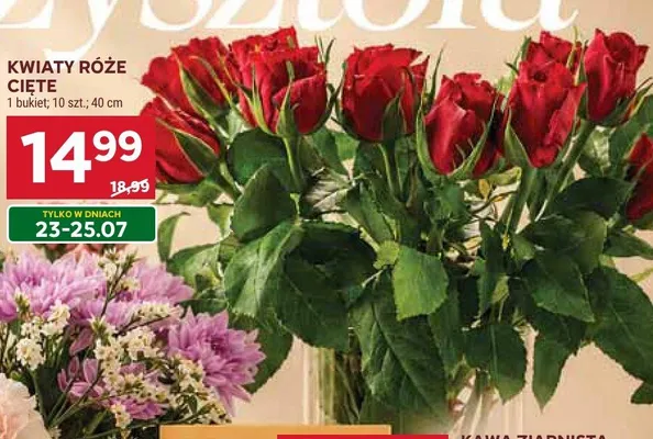 Kwiaty róże cięte promocja w Stokrotka