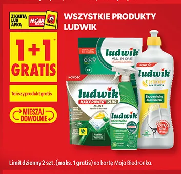 Produkty Ludwik promocja w Biedronka