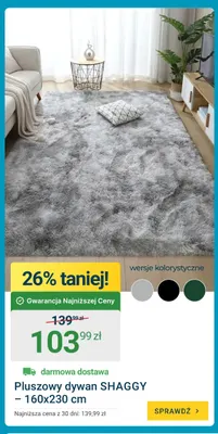 Pluszowy dywan Shaggy 160x230 cm promocja w ERLI