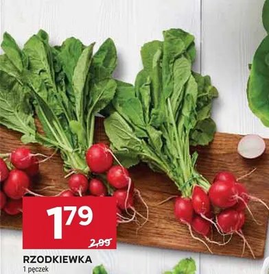 Rzodkiewka promocja w Stokrotka