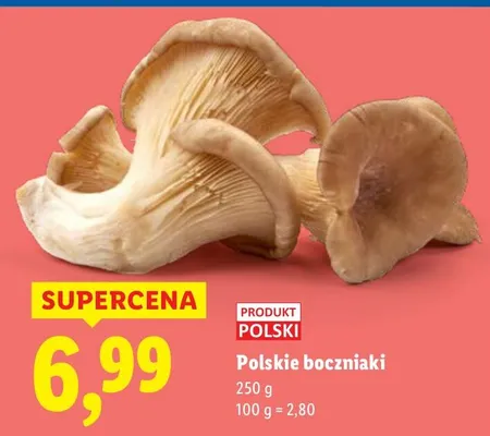 Boczniaki polskie Lidl promocja w Lidl