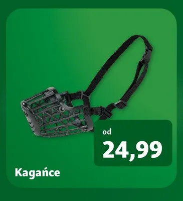 Kaganiec promocja w MAXI ZOO