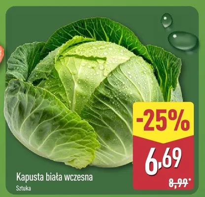 Kapusta biała wczesna sztuka promocja w Aldi