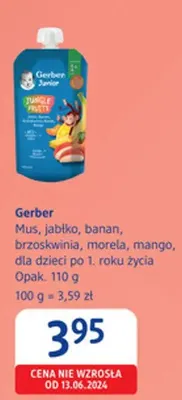 Mus, jabłko, banan, brzoskwinia, morela, mango, dla dzieci po 1. roku życia promocja w Drogerie DM