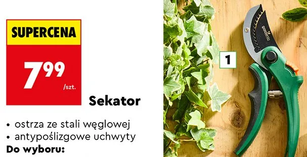 Sekator do cięcia suchych gałęzi kowadełkowy promocja w Biedronka