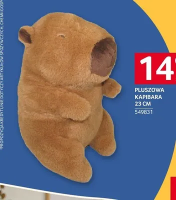 Pluszowa kapibara 23cm promocja w Selgros