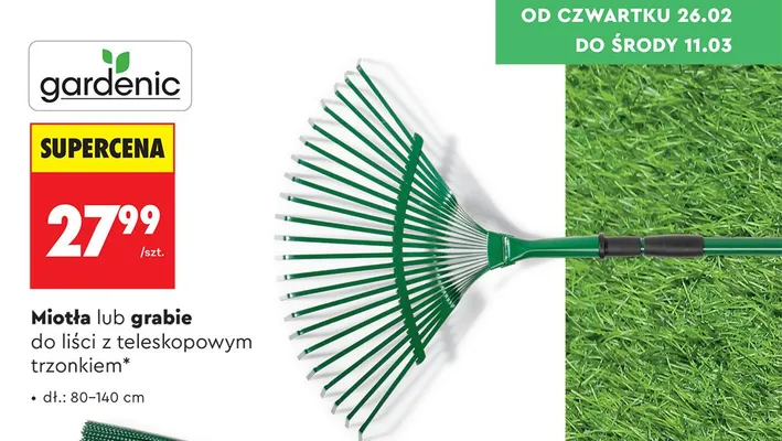 Grabie do liści z teleskopowym trzonkiem promocja w Biedronka