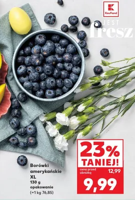 Borówki amerykańskie XL promocja w Kaufland