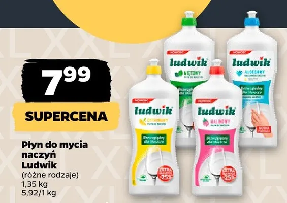 Płyn do mycia naczyń Ludwik promocja w Netto