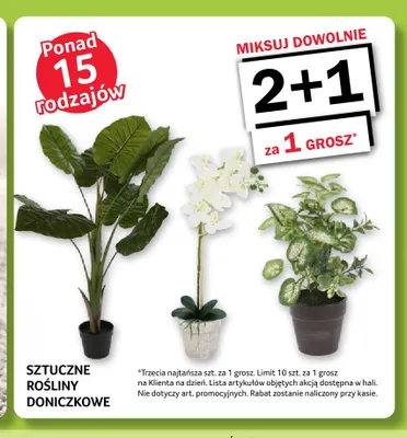 Sztuczne rośliny doniczkowe promocja w Selgros