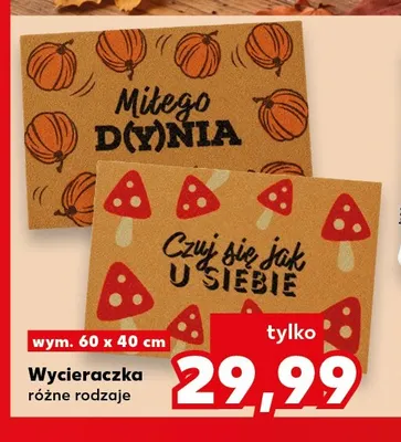 Wycieraczka 60x40 cm promocja w Kaufland