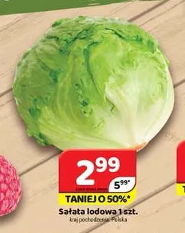 Sałata lodowa promocja w Delfin